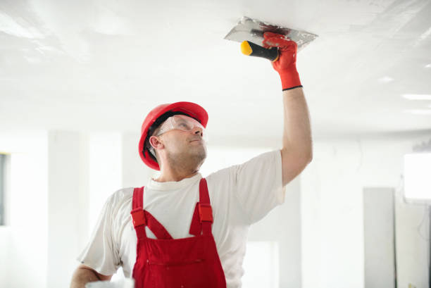 Best Touch-Up Painting Services  in Alpena, MI